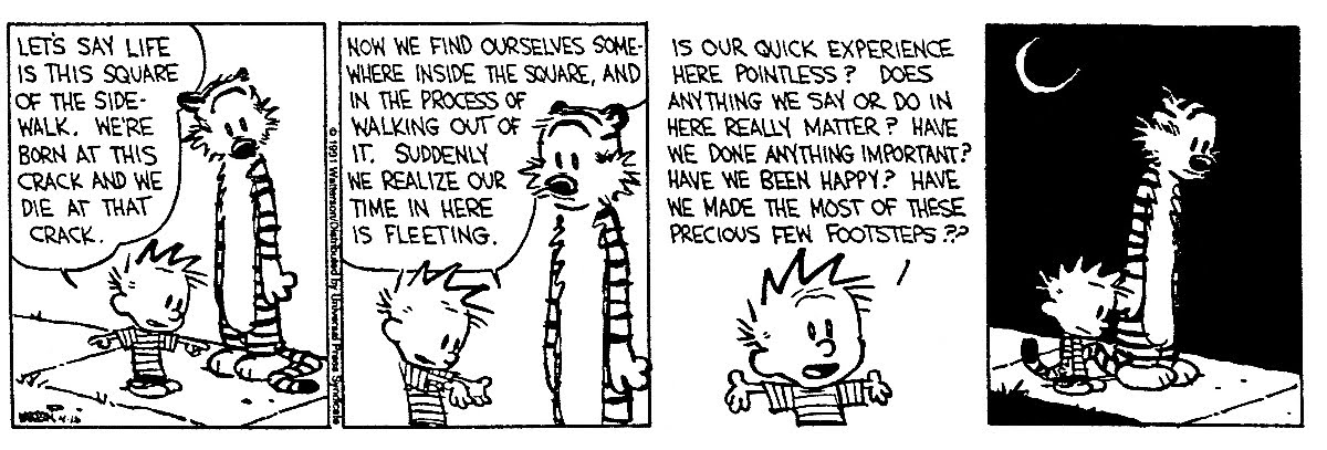 Calvin-gets-existential.jpg